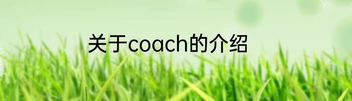 致青春的开头曲叫什么