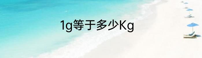 1g等于多少Kg