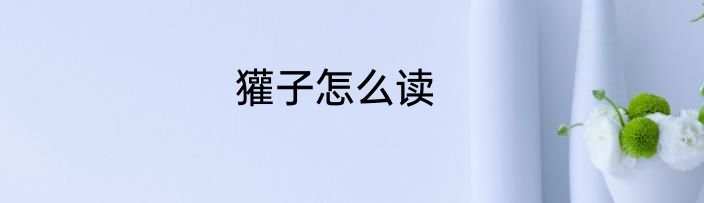 獾子怎么读