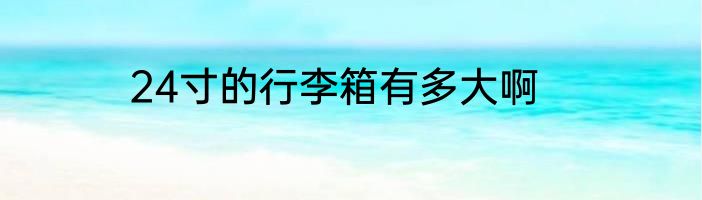 24寸的行李箱有多大啊