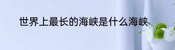 世界上最长的海峡是什么海峡