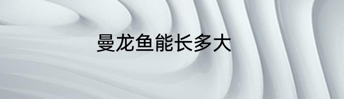 曼龙鱼能长多大
