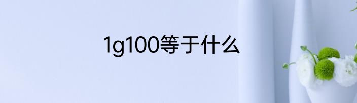 1g100等于什么