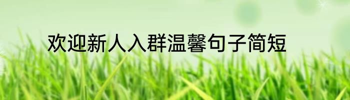 欢迎新人入群温馨句子简短