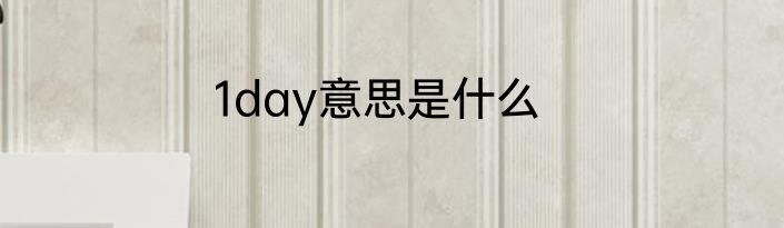 1day意思是什么