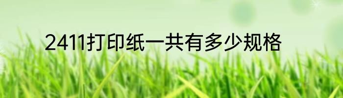 2411打印纸一共有多少规格