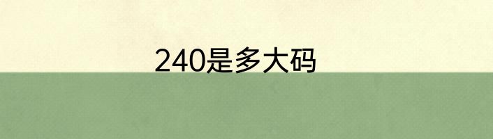 240是多大码