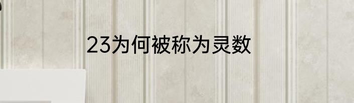 23为何被称为灵数