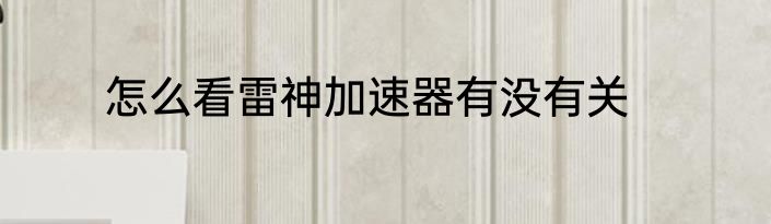 怎么看雷神加速器有没有关