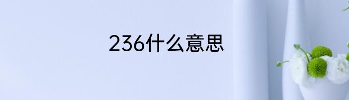 236什么意思