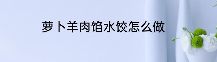 萝卜羊肉馅水饺怎么做