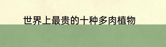 世界上最贵的十种多肉植物