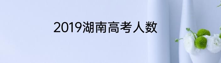 2019湖南高考人数