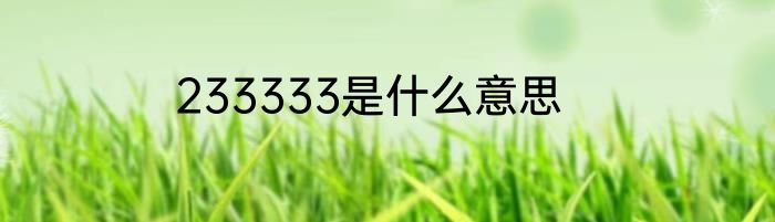 233333是什么意思
