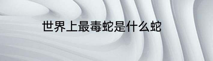 世界上最毒蛇是什么蛇