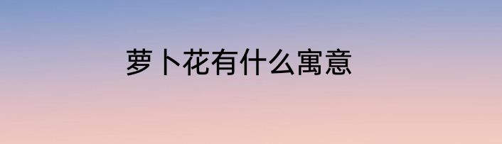 萝卜花有什么寓意