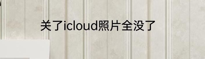 关了icloud照片全没了