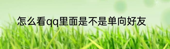 怎么看qq里面是不是单向好友