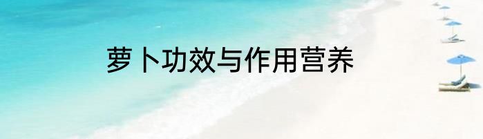萝卜功效与作用营养