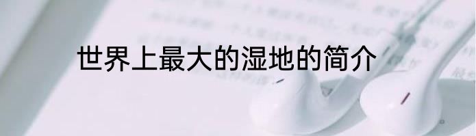 世界上最大的湿地的简介