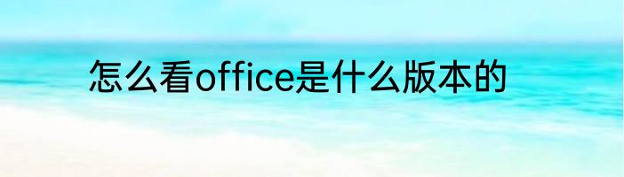 怎么看office是什么版本的