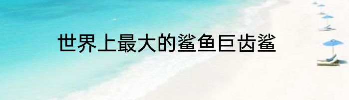 世界上最大的鲨鱼巨齿鲨