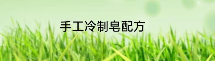手工冷制皂配方