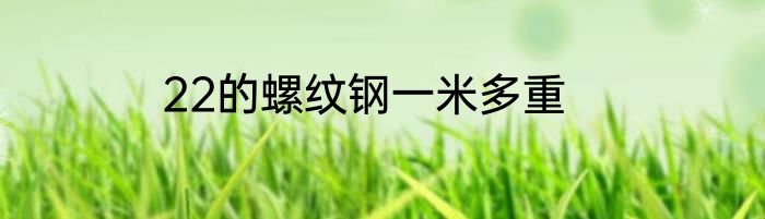 22的螺纹钢一米多重