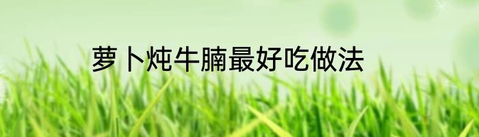 萝卜炖牛腩最好吃做法