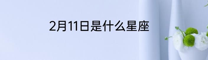 2月11日是什么星座