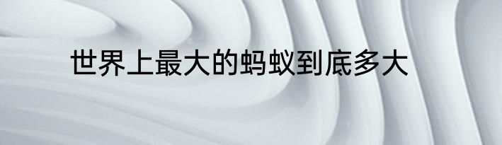 世界上最大的蚂蚁到底多大