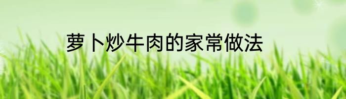 萝卜炒牛肉的家常做法