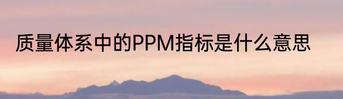 质量体系中的PPM指标是什么意思