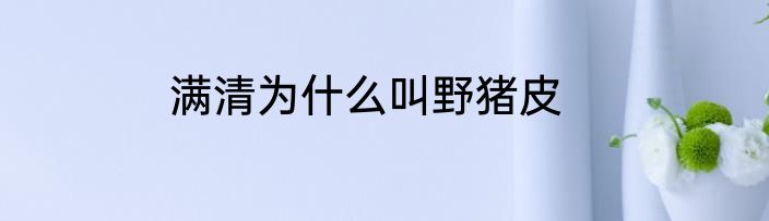 满清为什么叫野猪皮