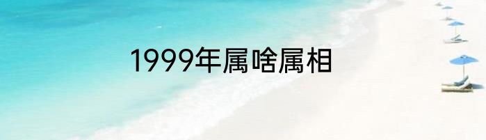 1999年属啥属相