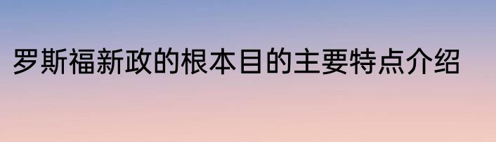 罗斯福新政的根本目的主要特点介绍