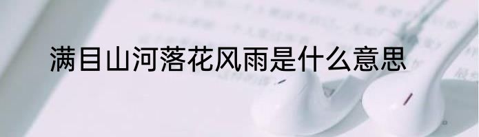 满目山河落花风雨是什么意思