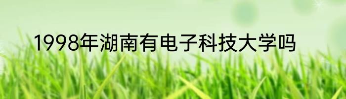 1998年湖南有电子科技大学吗