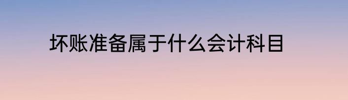 坏账准备属于什么会计科目