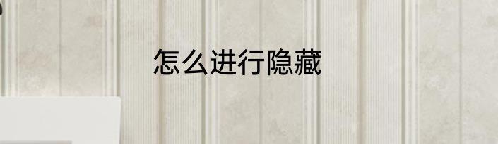 怎么进行隐藏