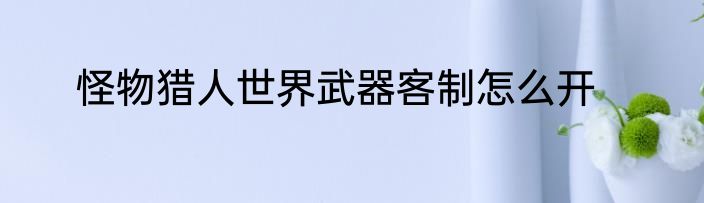 怪物猎人世界武器客制怎么开