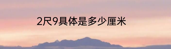 2尺9具体是多少厘米