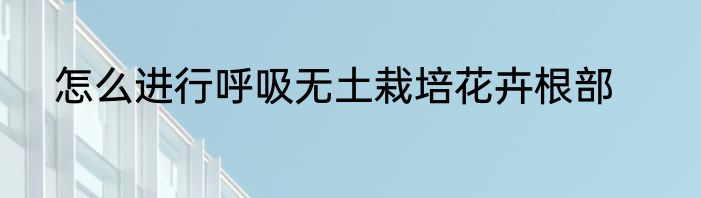 怎么进行呼吸无土栽培花卉根部