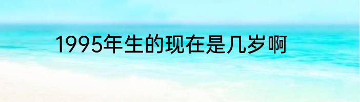 1995年生的现在是几岁啊