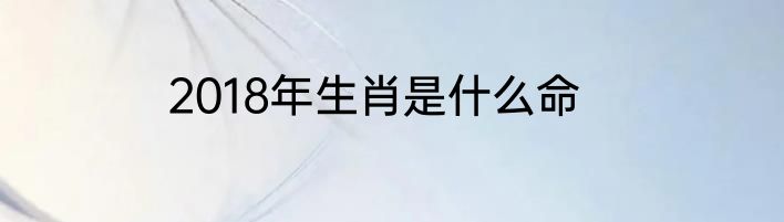 2018年生肖是什么命