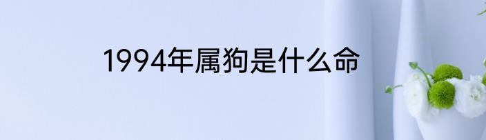 1994年属狗是什么命
