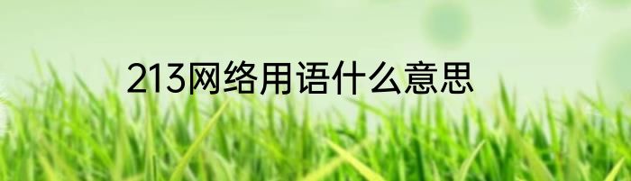 213网络用语什么意思