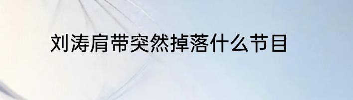刘涛肩带突然掉落什么节目