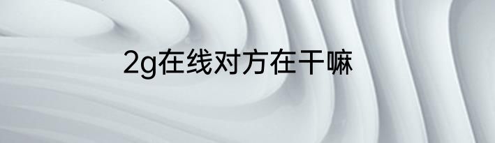 2g在线对方在干嘛