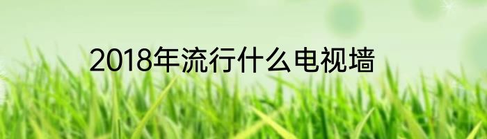 2018年流行什么电视墙